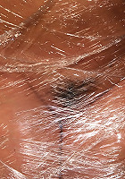 Anita_Blue-46161temp1