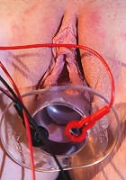 Introduction to Electrosex