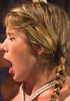 Felony Loves Electricity!