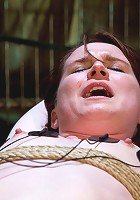 Heavy Electro BDSM Assplay