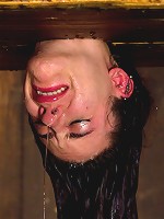 The Ice Cold Orgasms