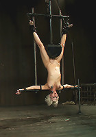 Double Inverted Sybian Suspension