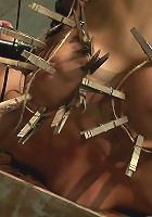 Hot skinny MILF with big tits, is bound in a custom metal device. Brutally fucked, and zippered.