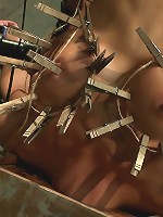 Hot skinny MILF with big tits, is bound in a custom metal device. Brutally fucked, and zippered.