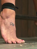 Holly HeartShut your whore mouth, i'll give you something to cry about.