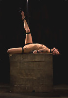 This bitch needs to be fixed