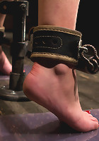 This bitch needs to be fixed