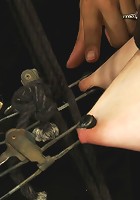 Taught pussies, bound tits, prancing whores