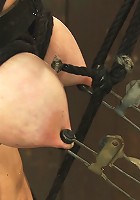 Taught pussies, bound tits, prancing whores