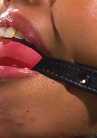 Pornstar gets wrecked in her first bondage shoot