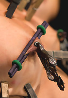 Wet, Distraught and Wrecked