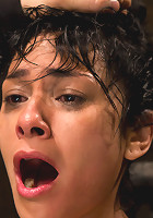 Wet, Distraught and Wrecked