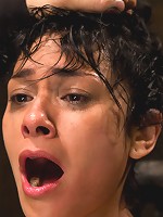 Wet, Distraught and Wrecked