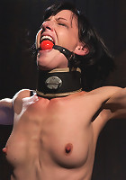 Elise Graves - Harsh Treatment and Predicaments Noir Style - by The Pope!