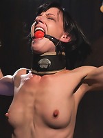 Elise Graves - Harsh Treatment and Predicaments Noir Style - by The Pope!