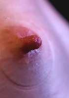 Sarah Shevon Suffers - Live Show Part 3