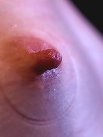 Sarah Shevon Suffers - Live Show Part 3