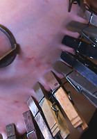 Sarah Shevon Suffers - Live Show Part 3