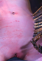 Sarah Shevon Suffers - Live Show Part 3