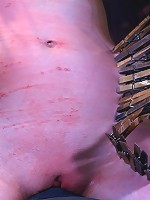 Sarah Shevon Suffers - Live Show Part 3