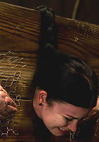 Curvy broad suffers for orgasms then strung up by hair suspension.