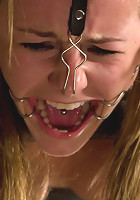 This Little Piggy Can Fly