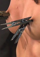 Alicia Stone She never stops coming, so we just let her..