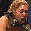 Bootilicious Bondage