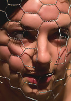 Breaking the Innocent