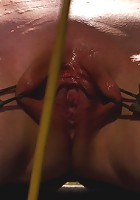 Sarah Shevon Suffers - Live Show Part 1