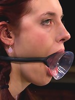 Life Lessons With Professor Sybian