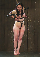 Maggie Mayhem Balancing