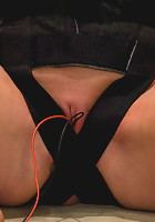 Ariel X. Enough said.