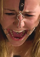 This Little Piggy Can Fly