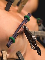 Wet, Distraught and Wrecked