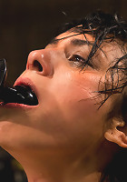 Wet, Distraught and Wrecked