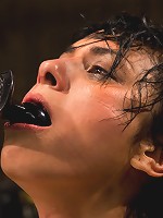 Wet, Distraught and Wrecked