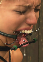 Taut pussies, bound tits, prancing whores