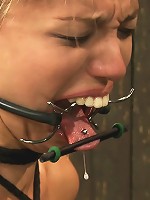 Taut pussies, bound tits, prancing whores