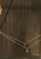 Taut pussies, bound tits, prancing whores