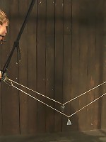 Taut pussies, bound tits, prancing whores