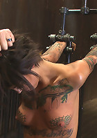 Bonnie Rotten - Tamed Whore By JP