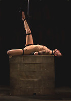 This bitch needs to be fixed