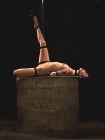 This bitch needs to be fixed