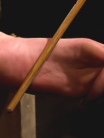 This bitch needs to be fixed