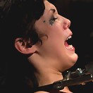 Never too hot to be used and abused