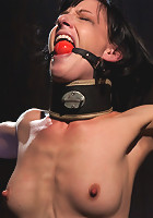 Elise Graves - Harsh Treatment and Predicaments Noir Style - by The Pope!