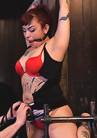 Akira Raine - Wax Rain / Incredible Torment / Terror and Pleasure