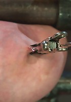 Katie Kox Thanks for the mammaries.