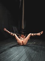 Coral Aorta gets caned